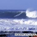 snapper rocks